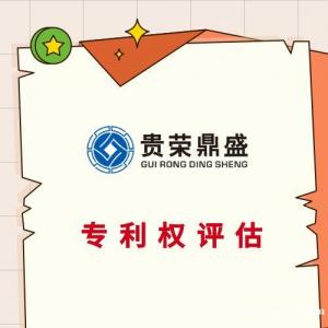 厦门市专利商标出资评估软著版权实缴评估知识产权评估