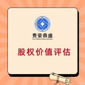 南昌市整体评估股权变更评估部分股东权益价值评估