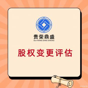 广东省广州市股权转让评估公司价值评估