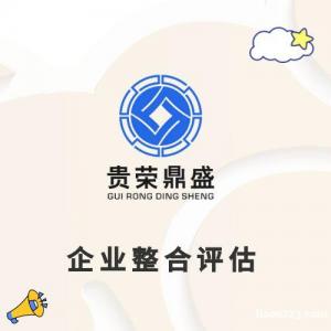 广州市企业重组评估企业整合评估